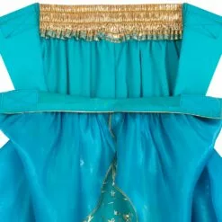 Jasmine Adaptive Costume For Kids – Aladdin 16 Jasmine Adaptive Costume For Kids – Aladdin -National Geographic Shop 2841040739076 7