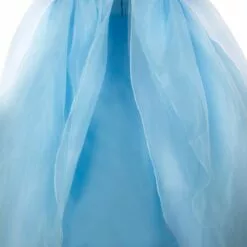Cinderella Adaptive Costume For Kids 18 Cinderella Adaptive Costume For Kids -National Geographic Shop 2841041618647 5