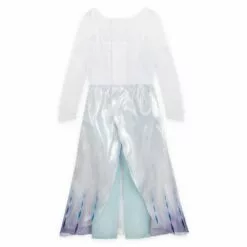 Elsa Adaptive Costume For Kids – Frozen 2 -National Geographic Shop 2841041619063 3