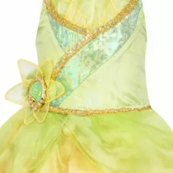 Tiana Deluxe Costume For Kids - The Princess And The Frog -National Geographic Shop 2841041619135 2