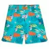 Pua And Hei Hei Swim Trunks For Kids – Moana -National Geographic Shop 3921046952276