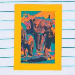 National Geographic Elephants Striped T-Shirt For Adults 10 National Geographic Elephants Striped T-Shirt For Adults -National Geographic Shop 5205059588729 3