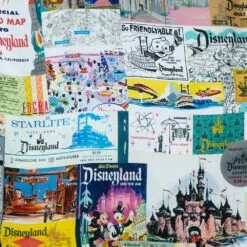 Disneyland Woven Shirt For Boys – Disney100 -National Geographic Shop 5815057815337 3